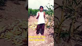 Garmi haryanvi song dance funny bhojpuri [upl. by Janka]