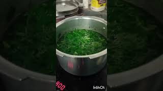 SaagਸਾਗMy brother making saag in Kuwait after dutykulbir jhinjer song [upl. by Kohcztiy808]