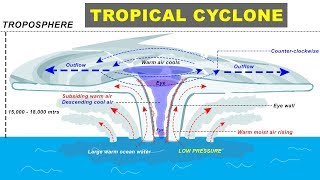 Tropical Cyclone Hurricane Storm Formation explained  Cyclone Biparjay in Arabian Sea Gujarat [upl. by Mulac672]