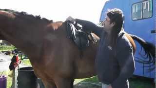 Saddle Fitting for Thoroughbreds amp High Withered Horses [upl. by Tempa]