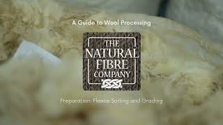 A Guide To Wool Processing Stage One Preparation [upl. by Marchese]