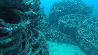 Torpedo Nets Pompano FL [upl. by Swenson58]