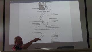 Neuroanatomy 68  Internal capsule   by Dr Wahdan [upl. by Meehan]