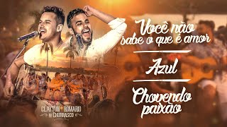 Clayton e Romário  Você Não Sabe O Que É Amor  Azul  Chovendo Paixão  DVD no Churrasco [upl. by Benn]