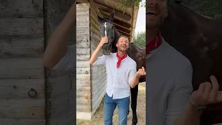 Erkennt ihr alle aus dem Video 🤠🐴 horse pferd pferde pferdecamp shorts equestrian [upl. by Ennayr341]