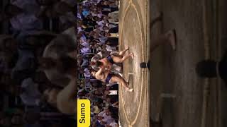 SeptemberSumoBasho 2024 Takayasu vs Hiradoumi sumo tokyo japan 2024 dance trendingshorts [upl. by Llednik]