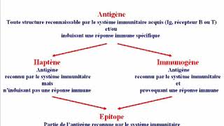 Réaction Antigénes Anticorps I [upl. by Sidnarb]