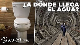 ¿A dónde llega el agua de la taza del baño en la CDMX  Sinueton [upl. by Ennagrom]