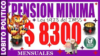 692💜PENSIÒN MÌNIMA GARANTIZADA PARA IMSS LEY 1973 😃👍 méxico imss pension [upl. by Haugen876]