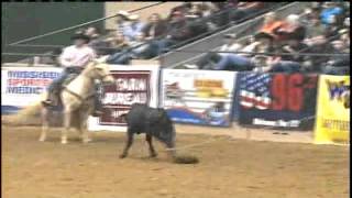 Dixie National Rodeo Kicks Off In Jackson [upl. by Adehsor557]