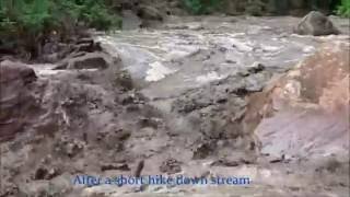 Historic Flash Flood in Zion National Park PEOPLE TRAPPED The Narrows [upl. by Selmore]