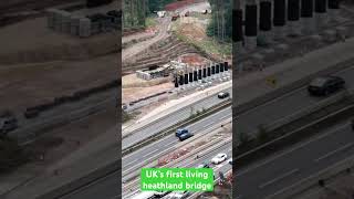 The UK’s first living heathland bridge at Wisley [upl. by Walton]