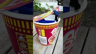 Can I swim in a giant instant noodle Brainopening stressrelieving interesting what is this [upl. by Hiller]