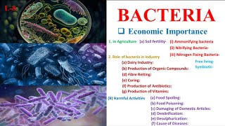 Economic Importance of Bacteria  SK Sir [upl. by Jain]