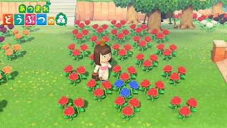 【Animal Crossing New Horizons】Flower Breeding Guide  How To Breed Hybrids【ACNH】 [upl. by Schacker]