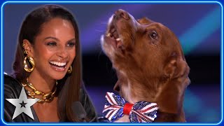 SINGING DOG covers Alesha Dixon’s ‘Breathe Slow’  Auditions  BGT 2023 [upl. by Andy430]