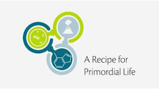 A Recipe for Primordial Life [upl. by Braden656]