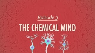 The Chemical Mind Crash Course Psychology 3 [upl. by Hardy]