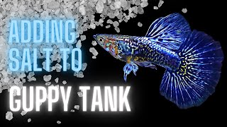 Guppy Fish Care – Adding Salt to Guppy Tank – The Complete Guide [upl. by Yevre671]