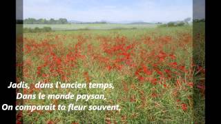 Les Coquelicots [upl. by Akela]