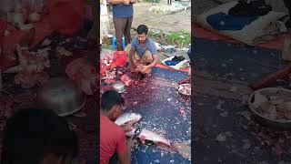 silvar cup cutting skills fishing fish fishcutting fishinglife [upl. by Rise]