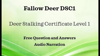 DSC1 Fallow Deer Section QampA Deer Stalking Certificate Level 1 FREE Audio Main Paper Revision [upl. by Yelsiap48]