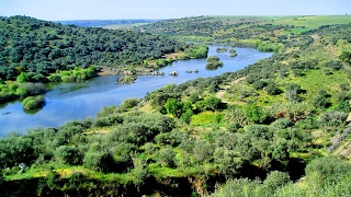 Trio Alentejo  Rio Guadiana [upl. by Aytida]