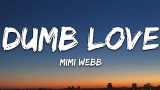 Mimi Webb  Dumb Love Lyrics [upl. by Fiedler]