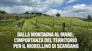 Dalla montagna al mare limportanza del territorio per il Morellino di Scansano [upl. by Mulderig]