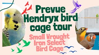 Prevue Hendryx bird cage tour Small Wrought Iron Select Bird Cage [upl. by Aleirbag]