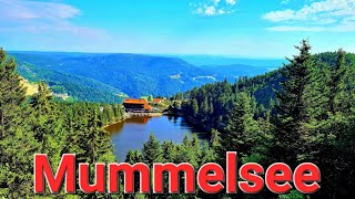 Mummelsee 4K Video a relaxing walk through black forest Mummelsee Germany [upl. by Yffat]