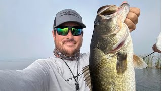 Lake Okeechobee Fall Fishing Report Big numbers of fish [upl. by Zoltai]