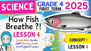 Science grade 4 المنهج الجديد How Fish Breathe  Lesson 4 2025 ساينس رابعه ابتدائى الترم الاول [upl. by Medina]