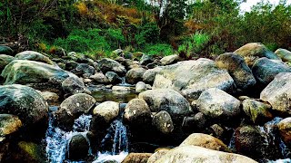 Babbling Brook Sounds 10 hours Nature Sound for Relaxing Studying Sleeping [upl. by Maddeu236]