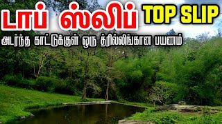 Trip to Beautiful TOPSLIPPollachi பொள்ளாச்சிஆனைமலை டாப்ஸ்லிப் காட்டுக்குள் ஒரு திகிலான கார் பயணம் [upl. by Kennard]