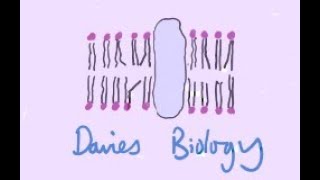 82 Tumour Suppressor Genes [upl. by Ahsimat]