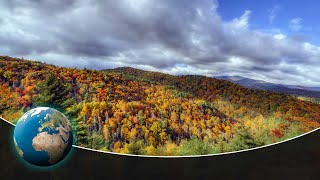 Great Smoky Mountains  Staggering Biodiversity in Americas most visited National Park [upl. by Kotick]