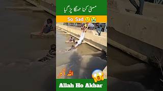 Allah hu akber allah pak ny bacha leya shorts 😱😱😱😱shortvideo [upl. by Nnairret]