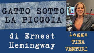 Gatto sotto la pioggia di Ernest Hemingway legge Tina Venturi [upl. by Sarah]