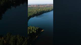 Rėkyvos ežero pietinė pakrantė The southern coast of Lake Rekyva SHORTs drone lake [upl. by Geminian]