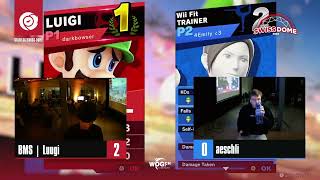 Luugi Luigi vs aeschli Wii Fit Trainer  Winners Round 1  Swiss Dome [upl. by Eelsew346]