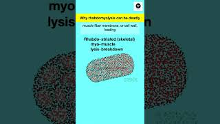 Rhabdomyolysis Why overworked muscles can be deadly rhabdomyolysis rhabdo muscledamgage [upl. by Malena]