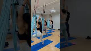 Best Aerial Yoga Stretch 🔥 aerialyoga aerialyogaflow aerialyogaclass swingyoga yogaflow [upl. by Tarrance]