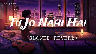 Tu Jo Nahi Hai  Sloved  Reverb  Cover Song  OS Lofi [upl. by Alleuol]