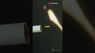 How Smoking Damages Your Body in 3D [upl. by Errol158]