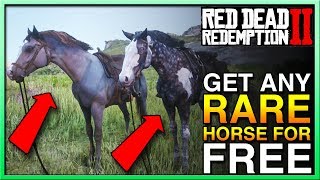 HOW TO GET ANY RDR2 Horse in Red Dead Redemption 2  Red Dead 2 Horses  Red Dead 2 Best Horse [upl. by Malarkey]