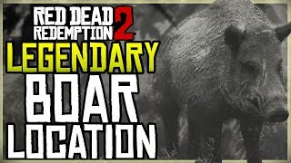 WHERE TO FIND THE LEGENDARY BOAR LOCATION  HUNT  RED DEAD REDEMPTION 2 [upl. by Kinny869]