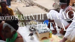 AMANTII WAAQEFFNNAA GALMAA MAGALAA ADAMAA [upl. by Alaaj]