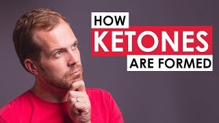 How Ketones are Formed in the Body a simple nonscientific overview [upl. by Zenger611]