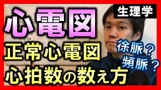 【心電図①】正常心電図と心拍数の計測【理学療法士・作業療法士】 [upl. by Ajed999]